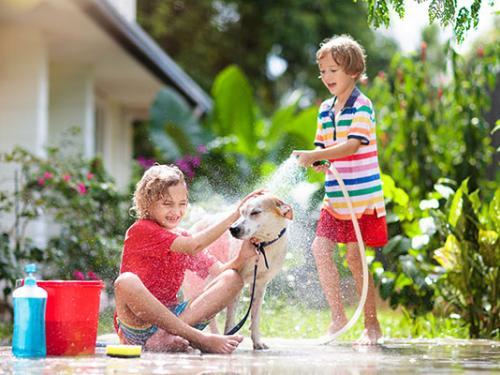 Children and a dog play in the water with a house in the Summer